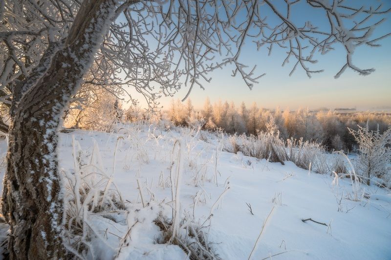 Winter фото превью