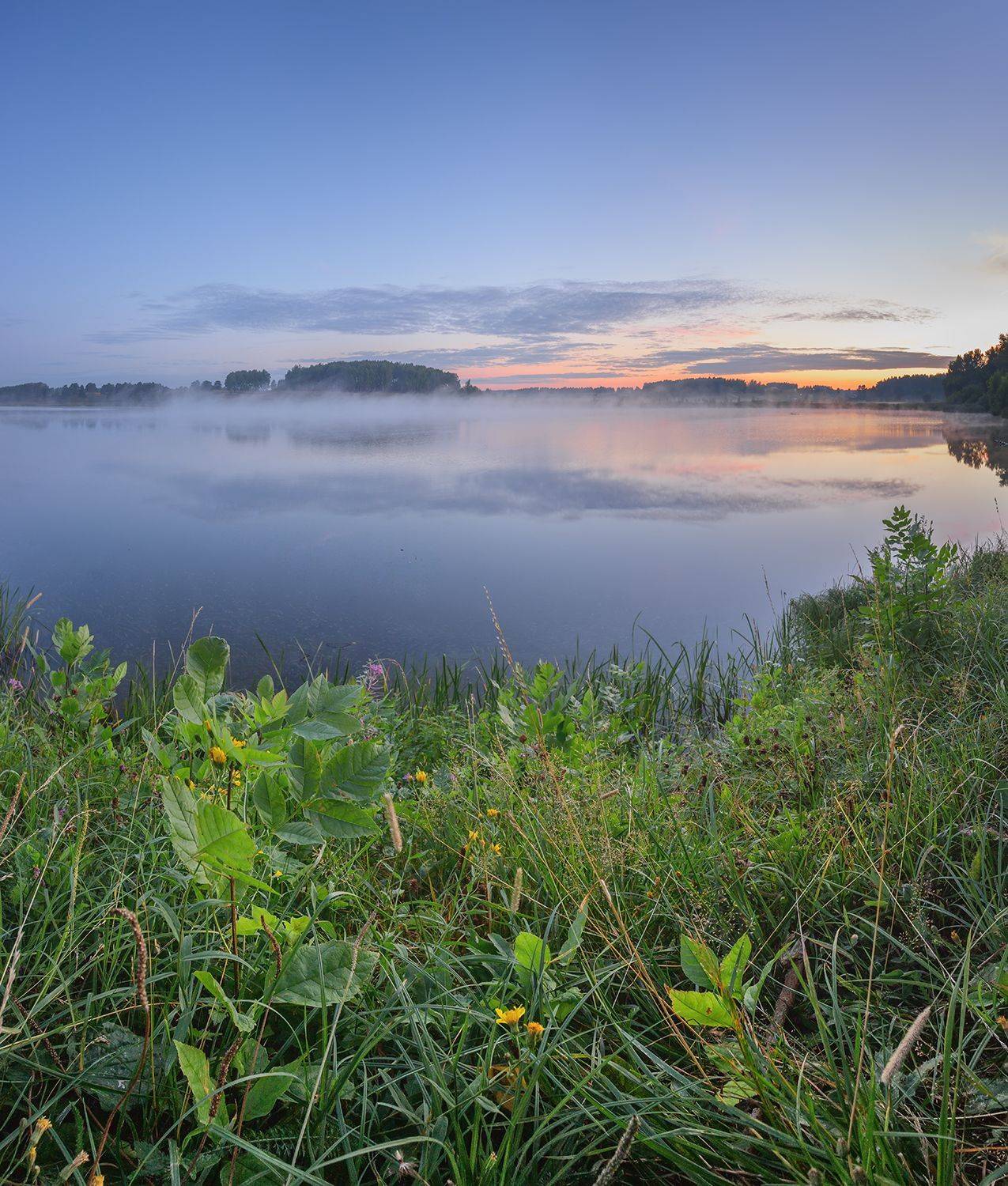 , Николай Андреев