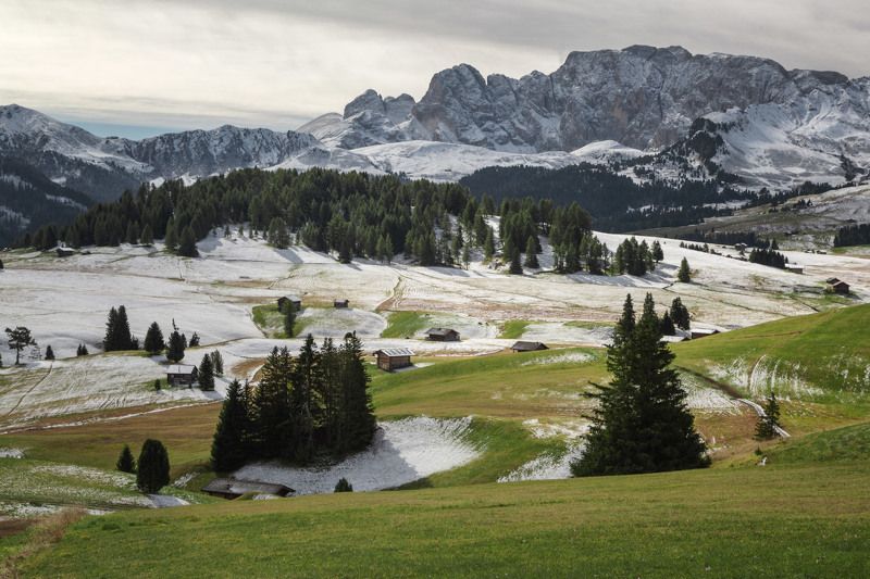 осень;, снег;, горы;, лес;, альпы;, италия Between Autumn and Winter фото превью
