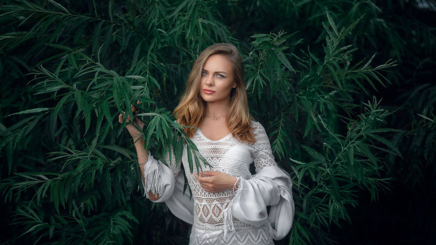 , Денис Лыткин