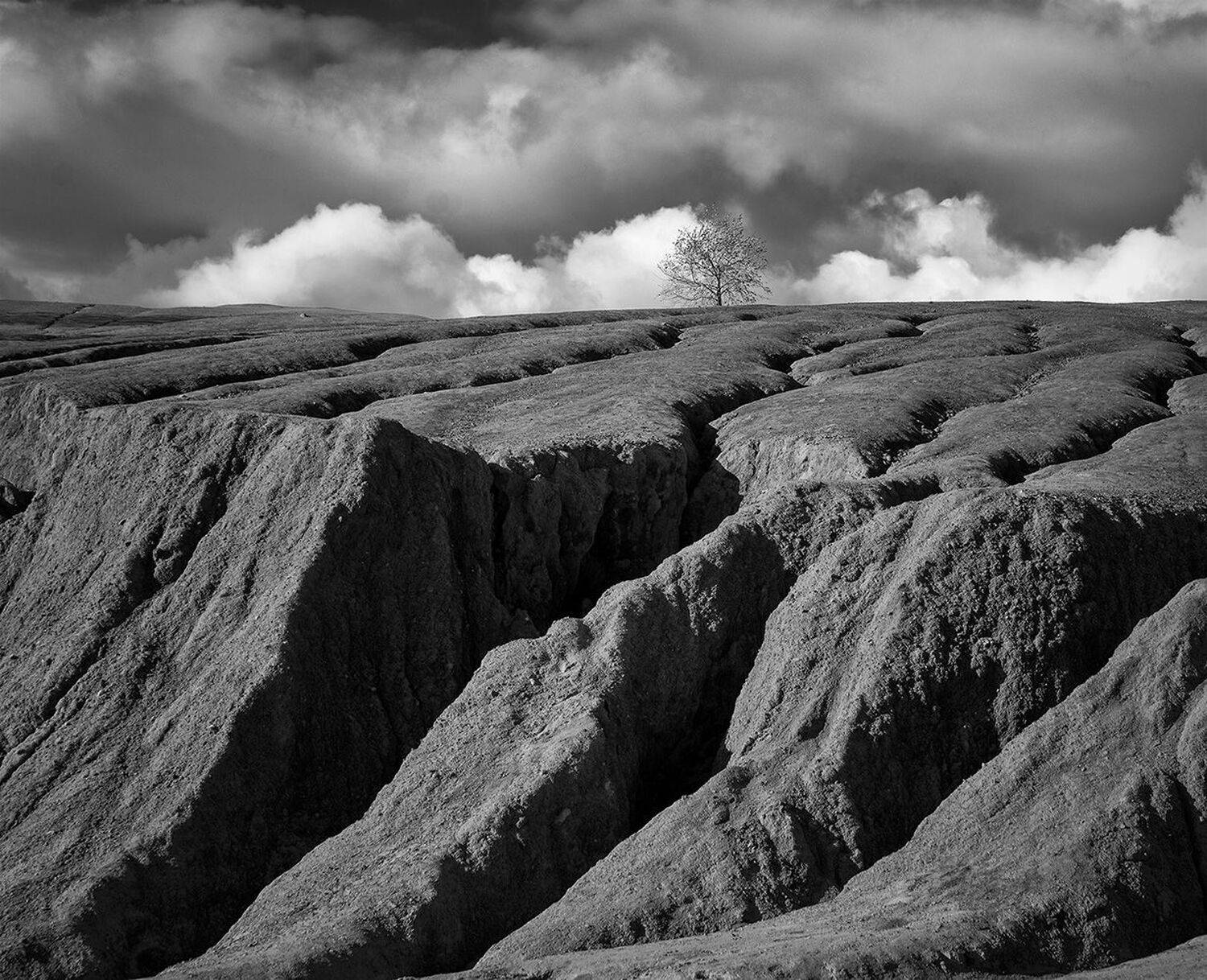 , Анатолий Зверев