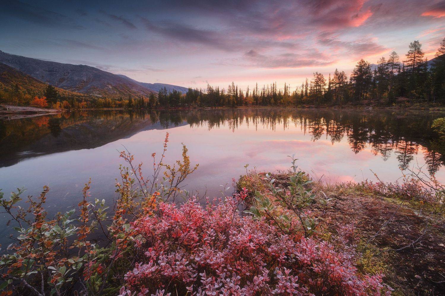 россия, мурманская область, кольский полуостров, хибины, заполярье, осень, природа, пейзаж, лесотундра, осень, рассвет, отражение, озеро, Оборотов Алексей