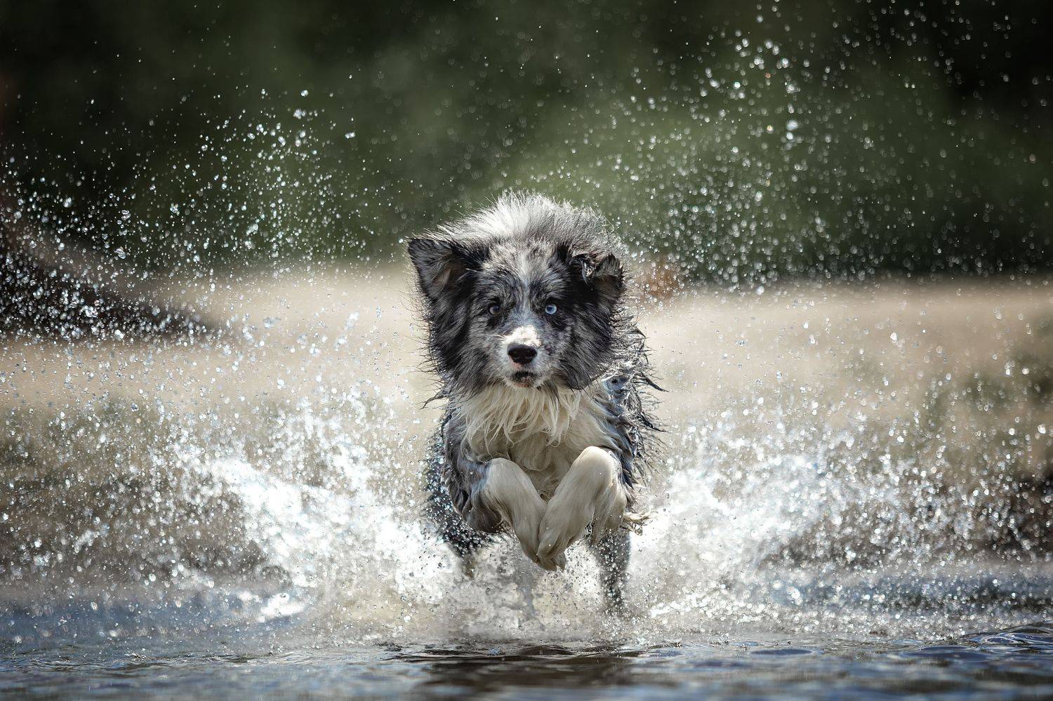 , Регина Гущина