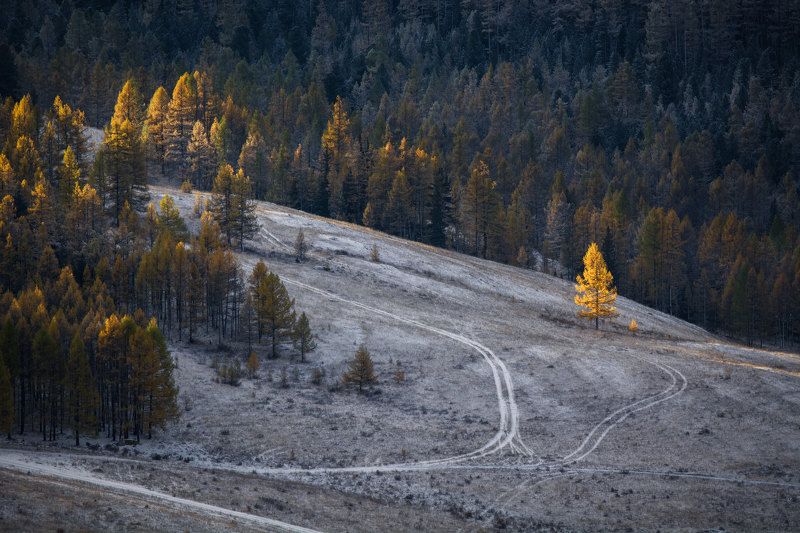 осень,алтай искусство быть первым фото превью