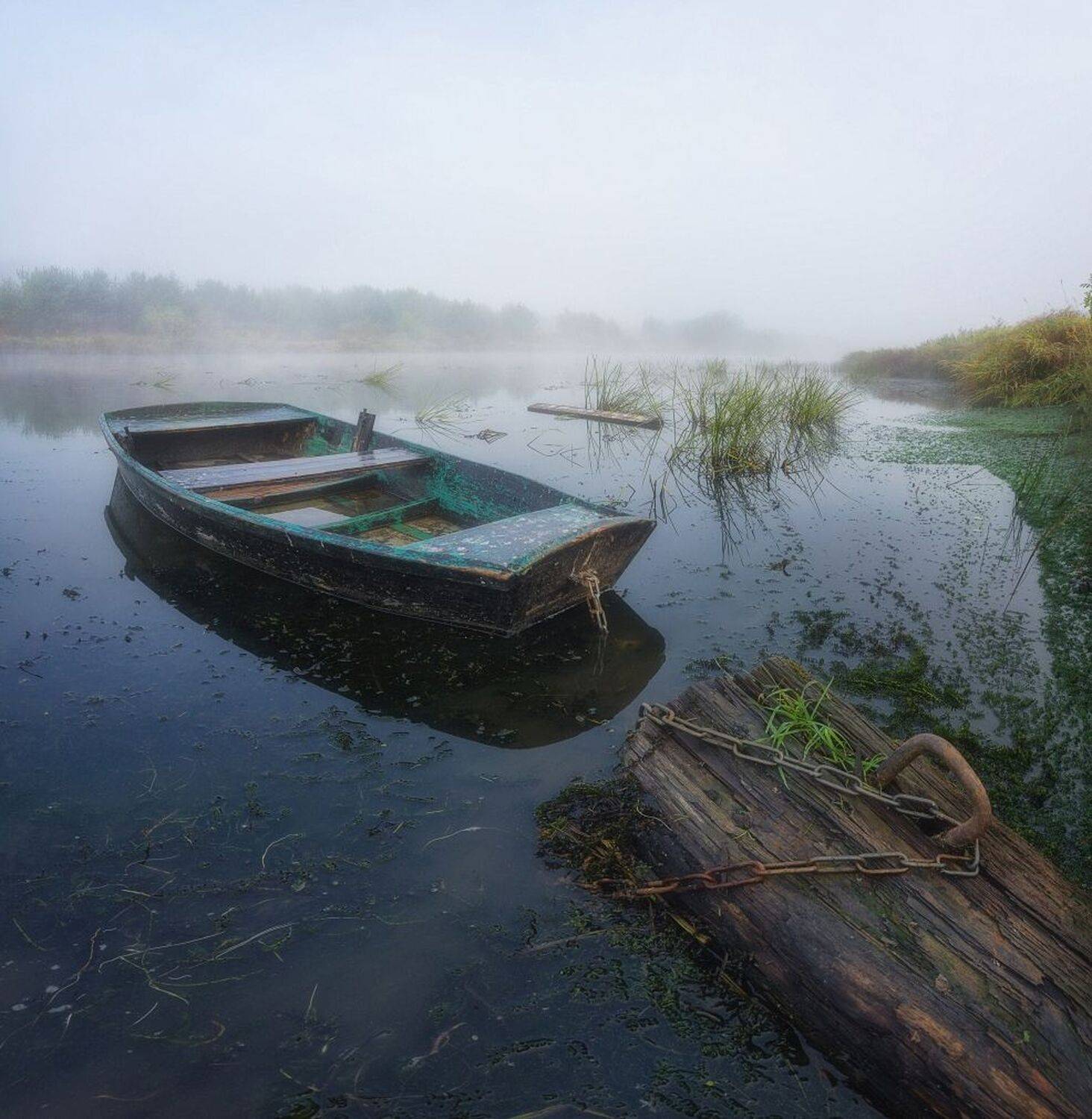 , Устюжанин Михаил
