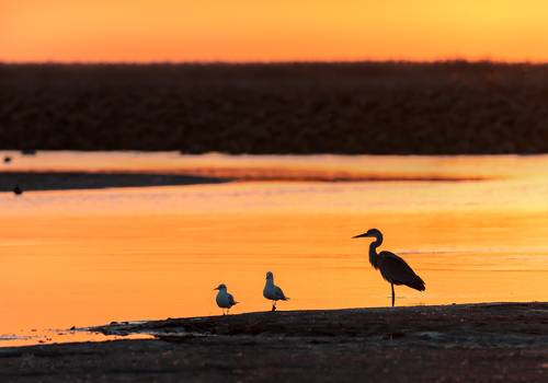 Закат в дельте Волги