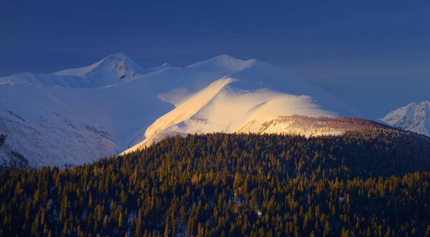 горы утро архыз, Александр Жарников