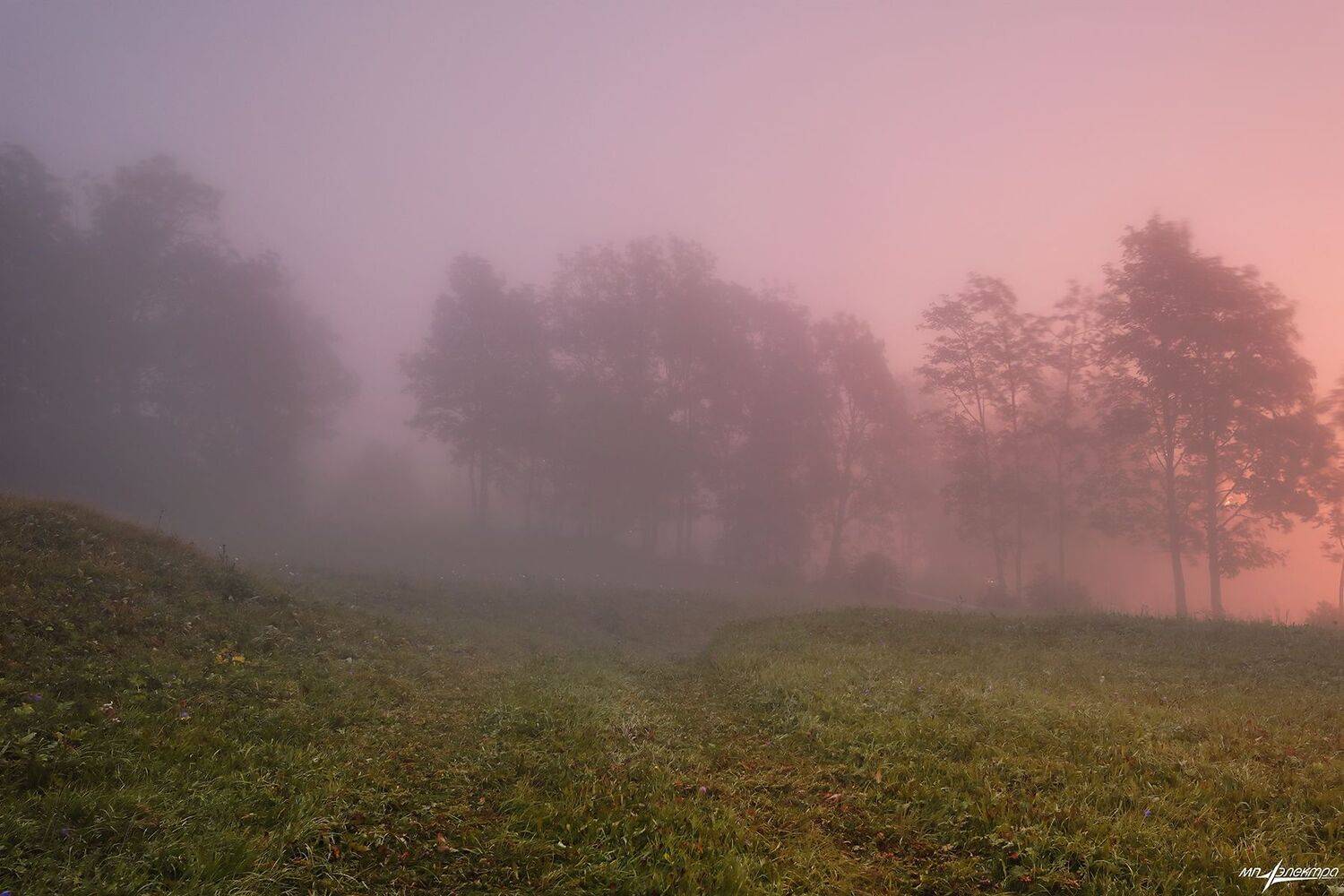 swiss, Матвеев Николай