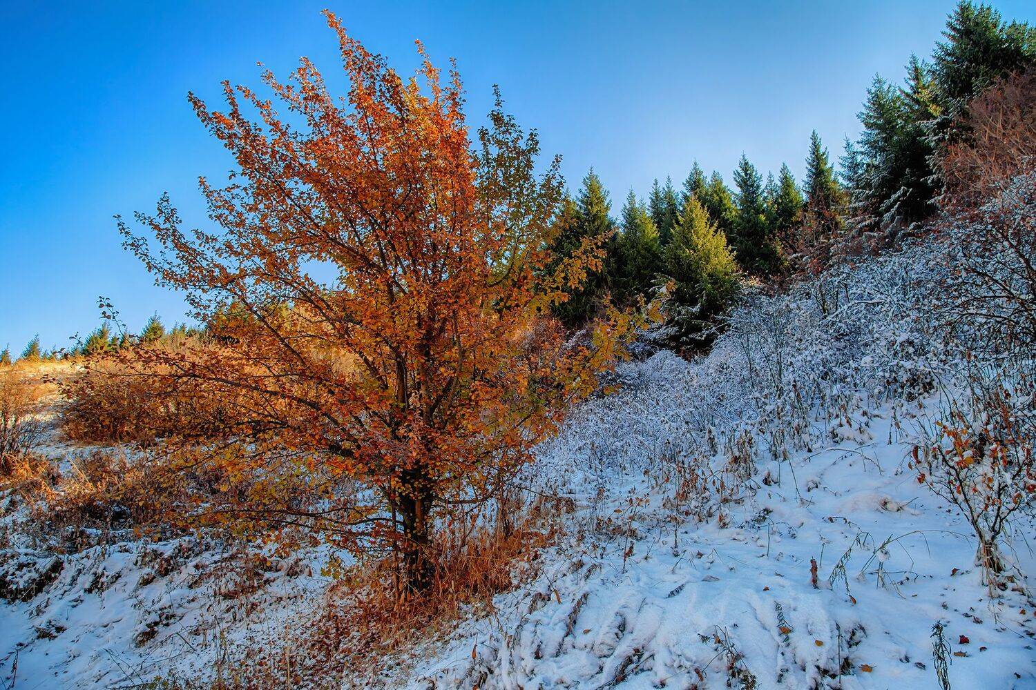 кыргызстан, горы, Элина Магалимова