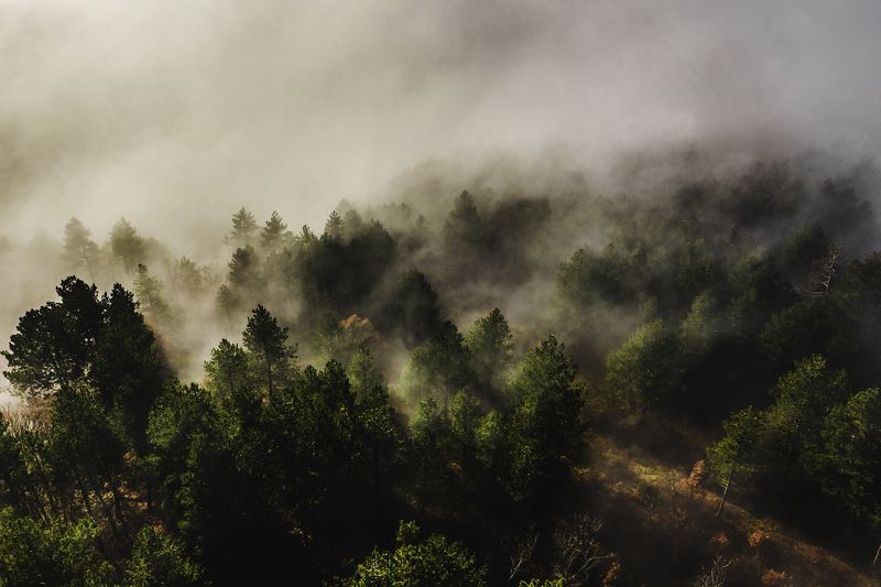 Morning mystics фото превью
