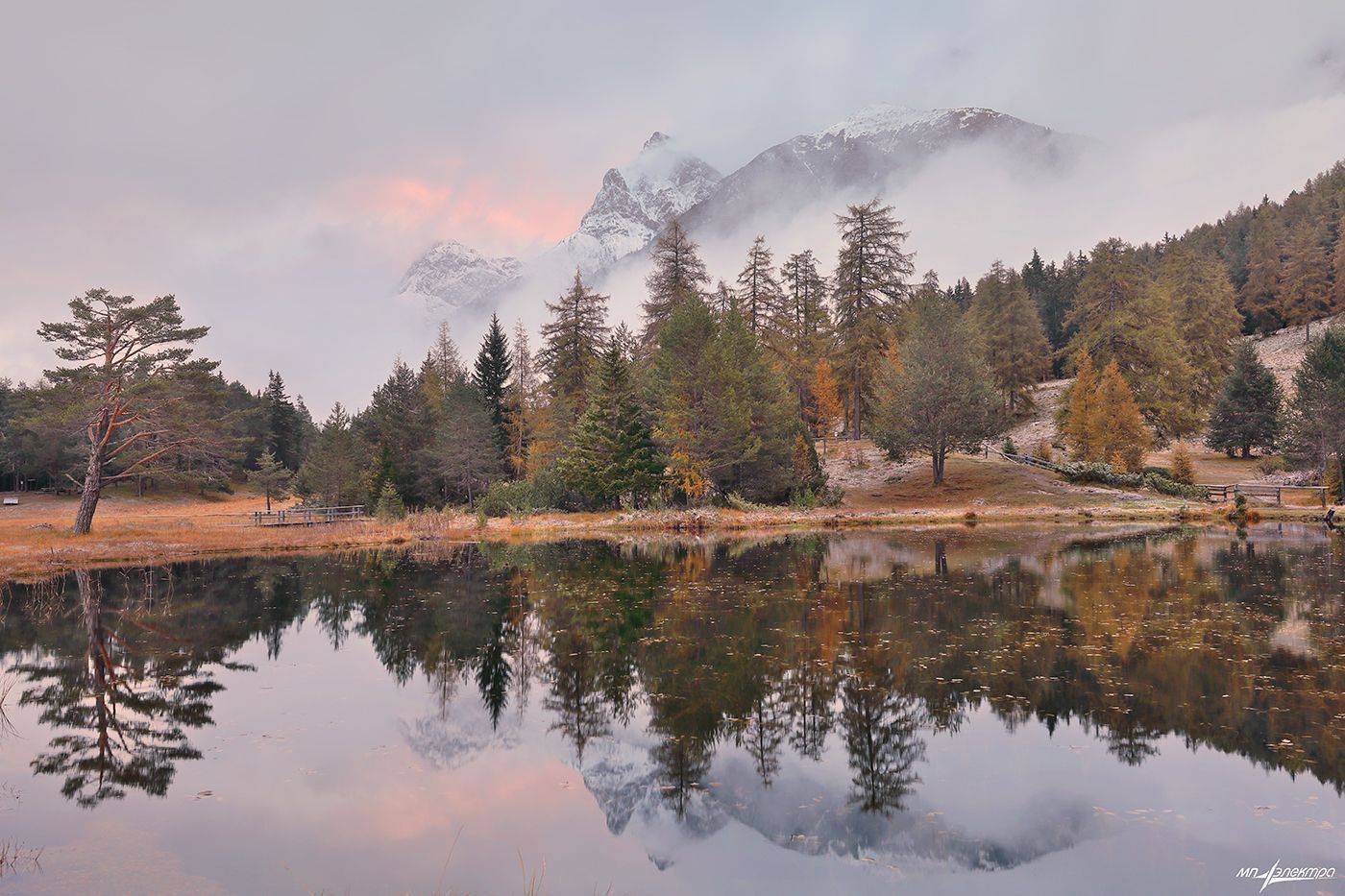swiss, Матвеев Николай