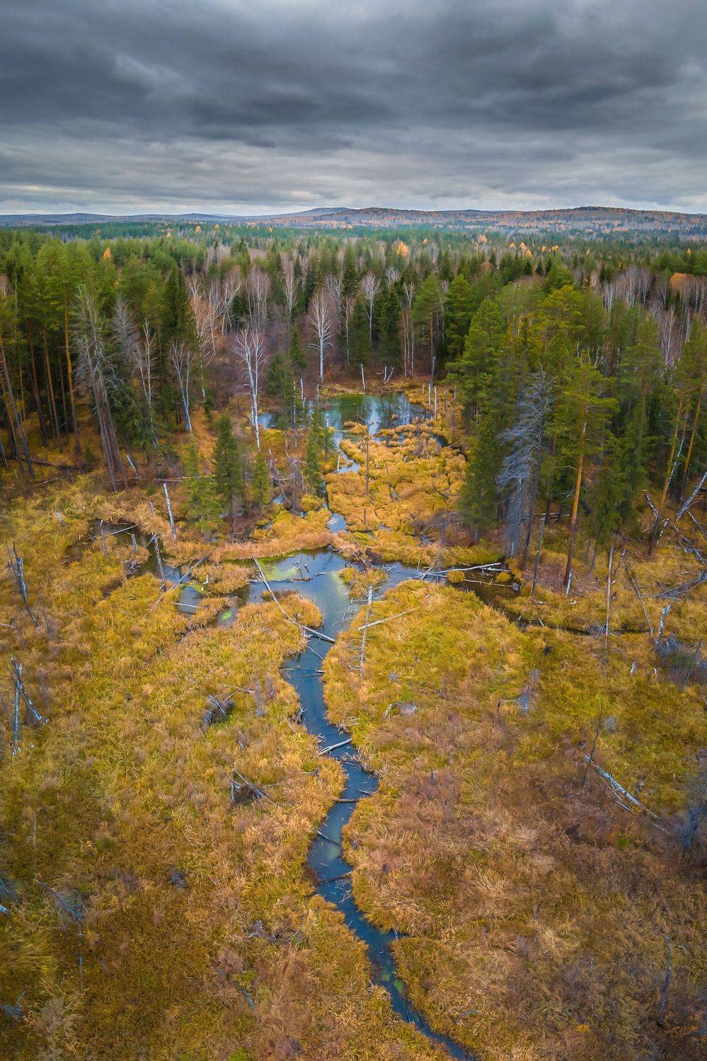 осень лес тучи болото урал, Жданов Дмитрий