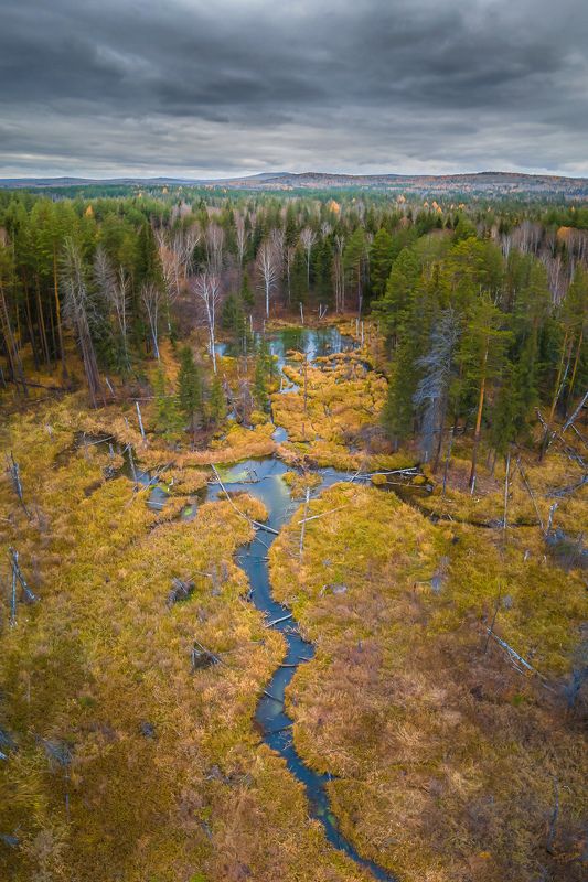 осень лес тучи болото урал Конец осени фото превью