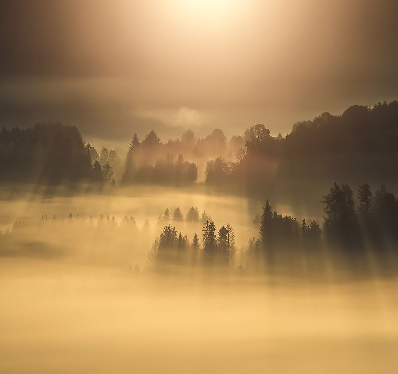 Autumn фото превью