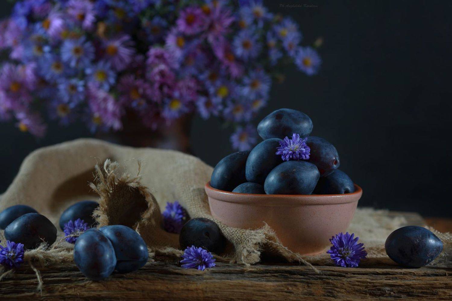 , Анжелика Королева