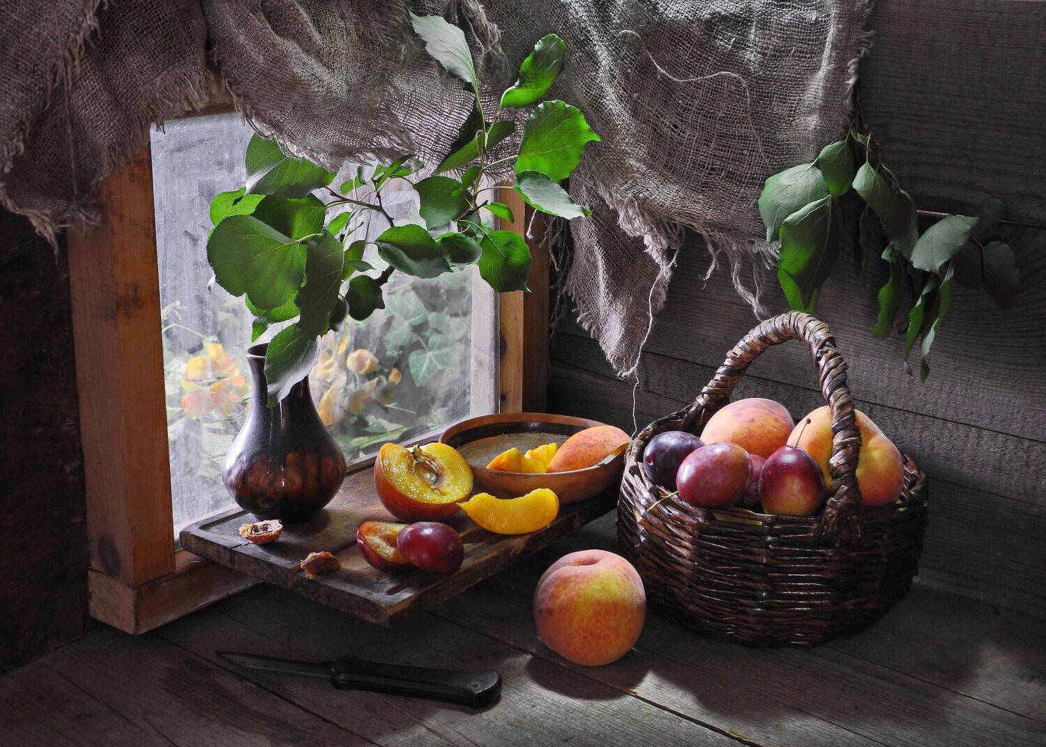 персики сливы урожай сад дача фрукты ягоды, Сергей Фунтовой