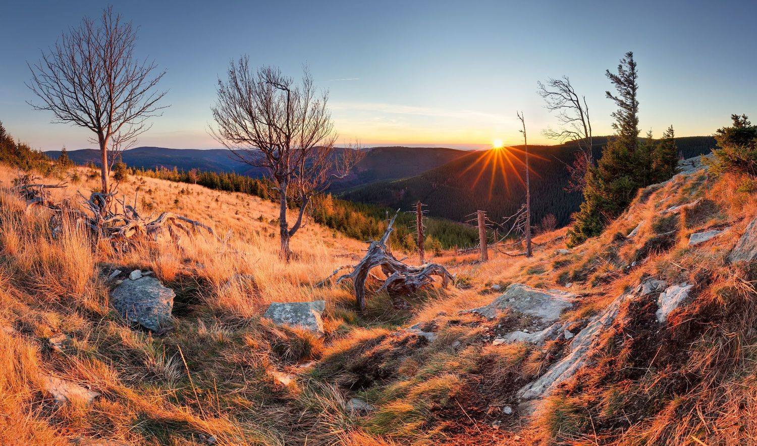 landscape, tree, sunrise, panorama, Petr Fiala