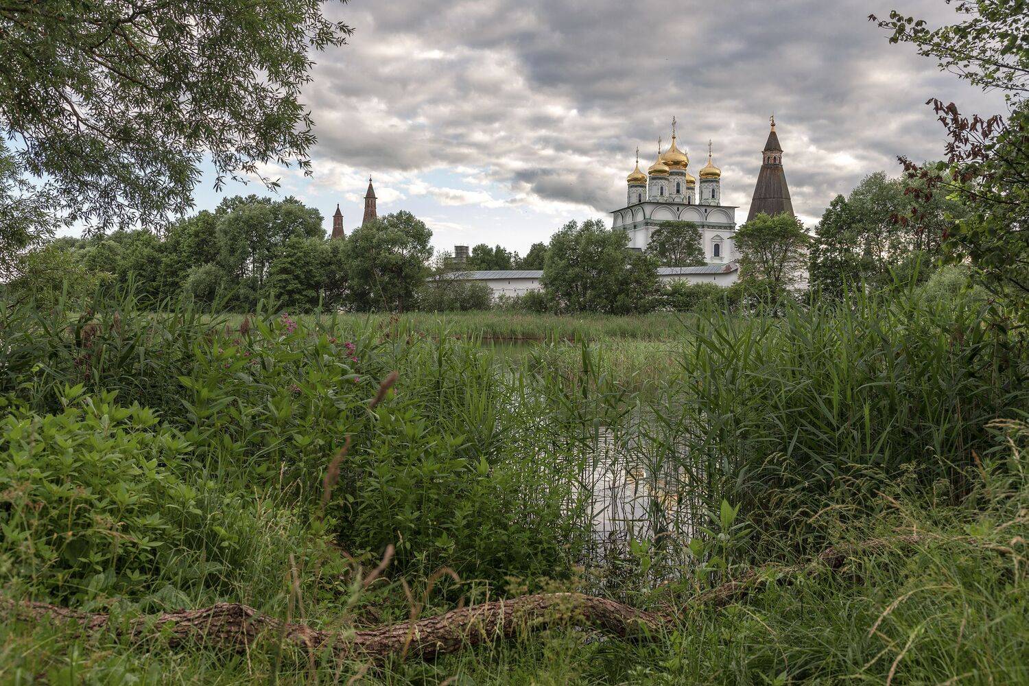 Волоколамский район, Елена Гусева