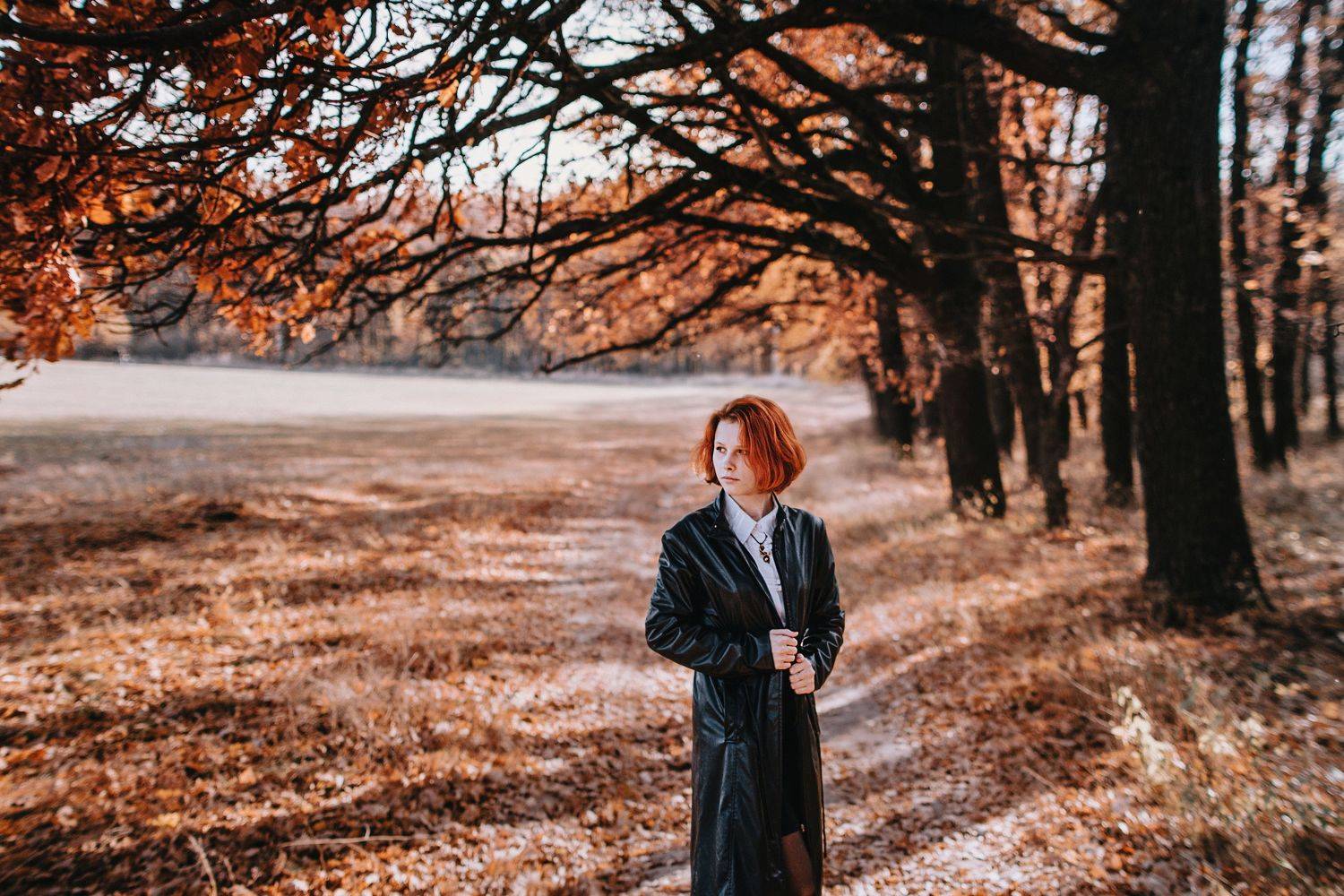 October Was Beautiful. Автор: Виталий Шевченко , Виталий Шевченко