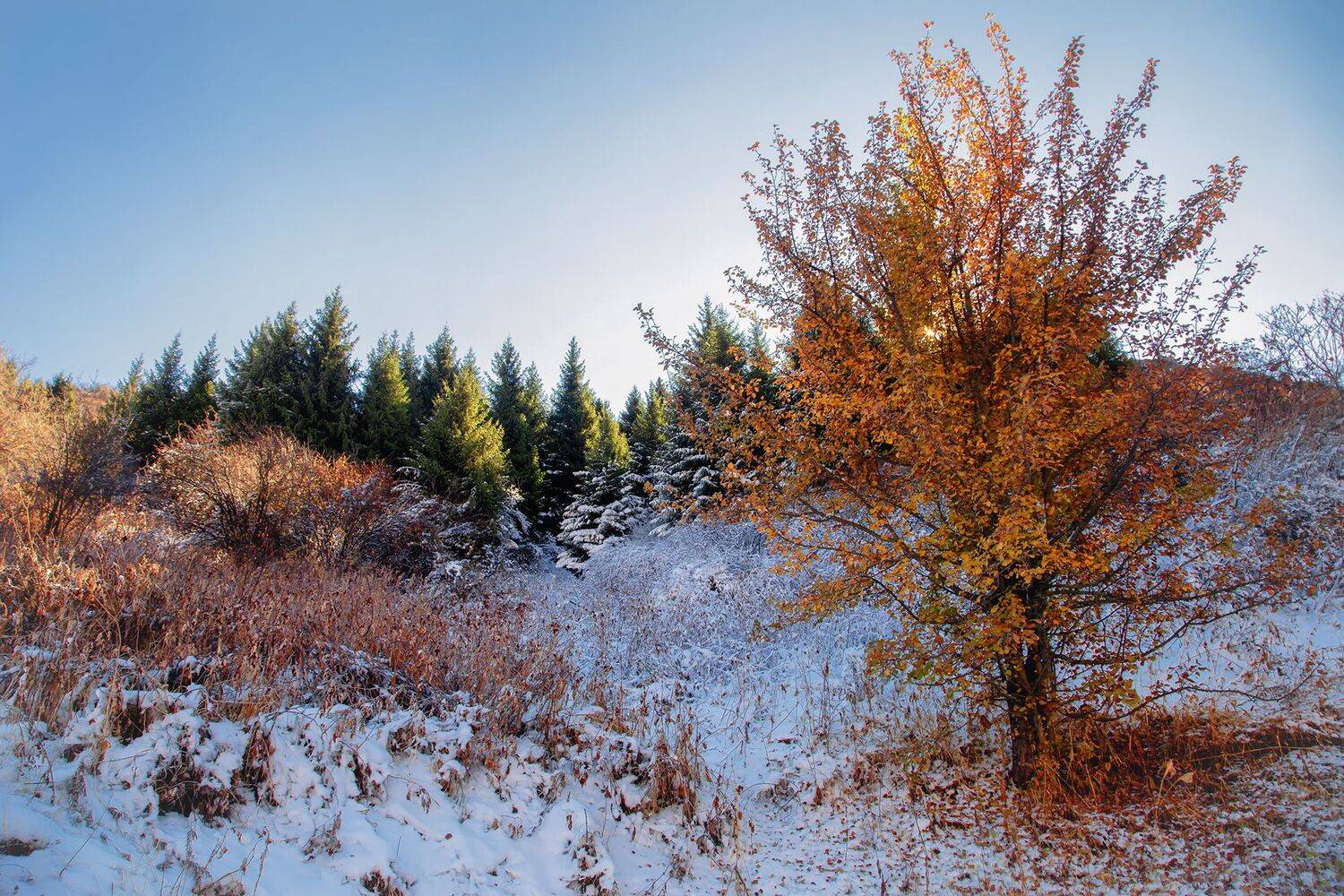 кыргызстан, горы, Элина Магалимова