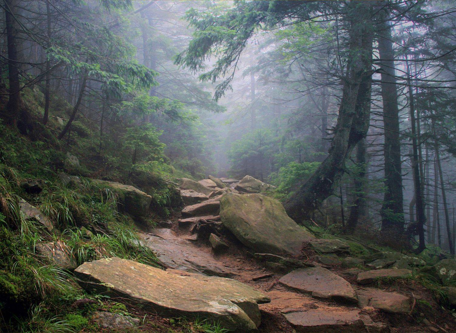 , Милокост Алексей