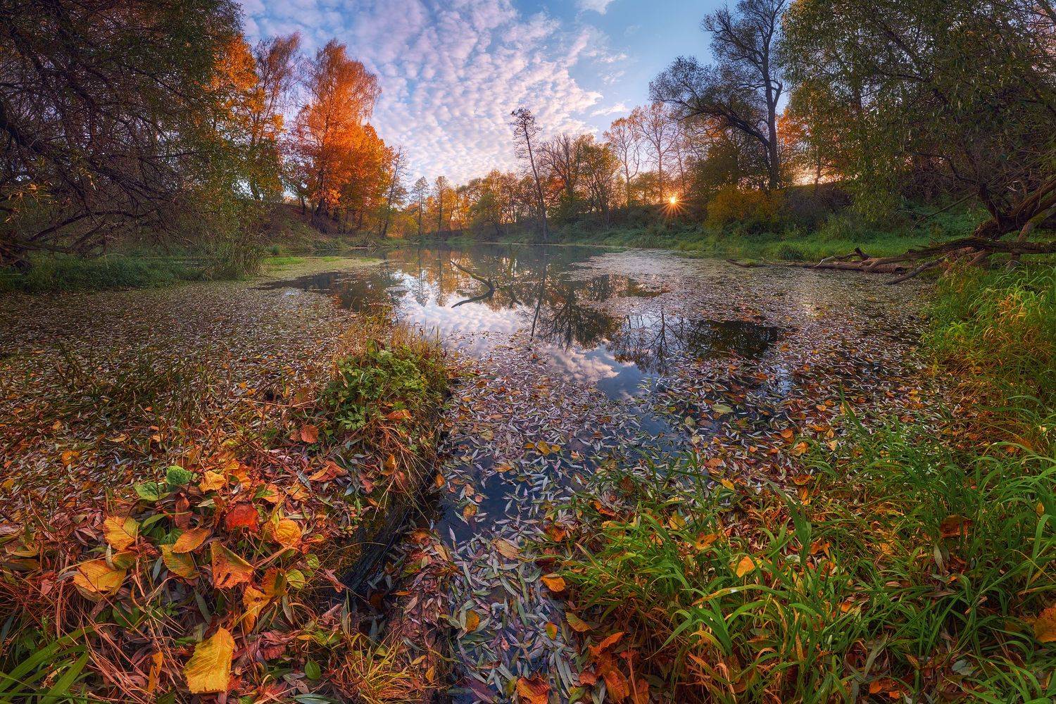 , Konstantin Voronov