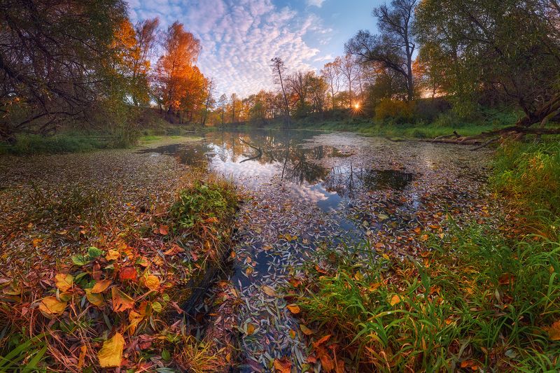 *** фото превью