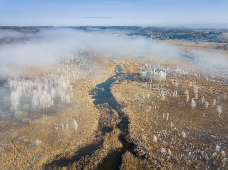 псков, пейзаж, Скоро Зима фото превью
