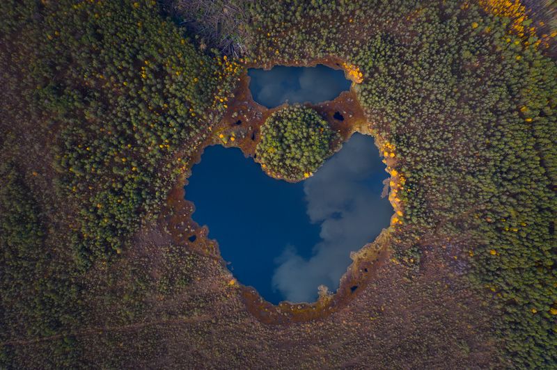 озеро, отражение, лес, тайга, урал Озеро-зеркало фото превью