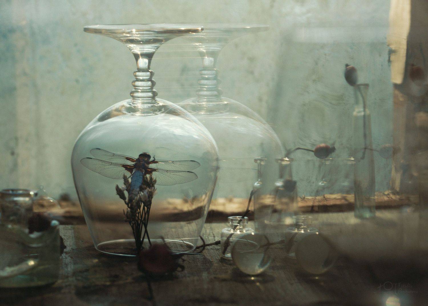 #композиция, #still_life_gallery, #tv_stilllife, #stilllife_perfection, #jj_still_life, #still_life, #stilllifes, #compositions, #beautifulstilllife, #натюрморт, #stilllife, #35awards, #35photo, #35awards2021, #photocontest, #фотоконкурс, Наталия Поникарова