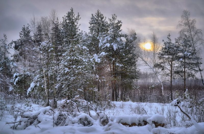 пейзаж ,зима ,  Сумерки на Оке  фото превью