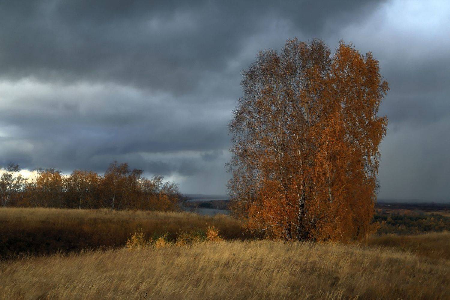 , Евгений Зинов