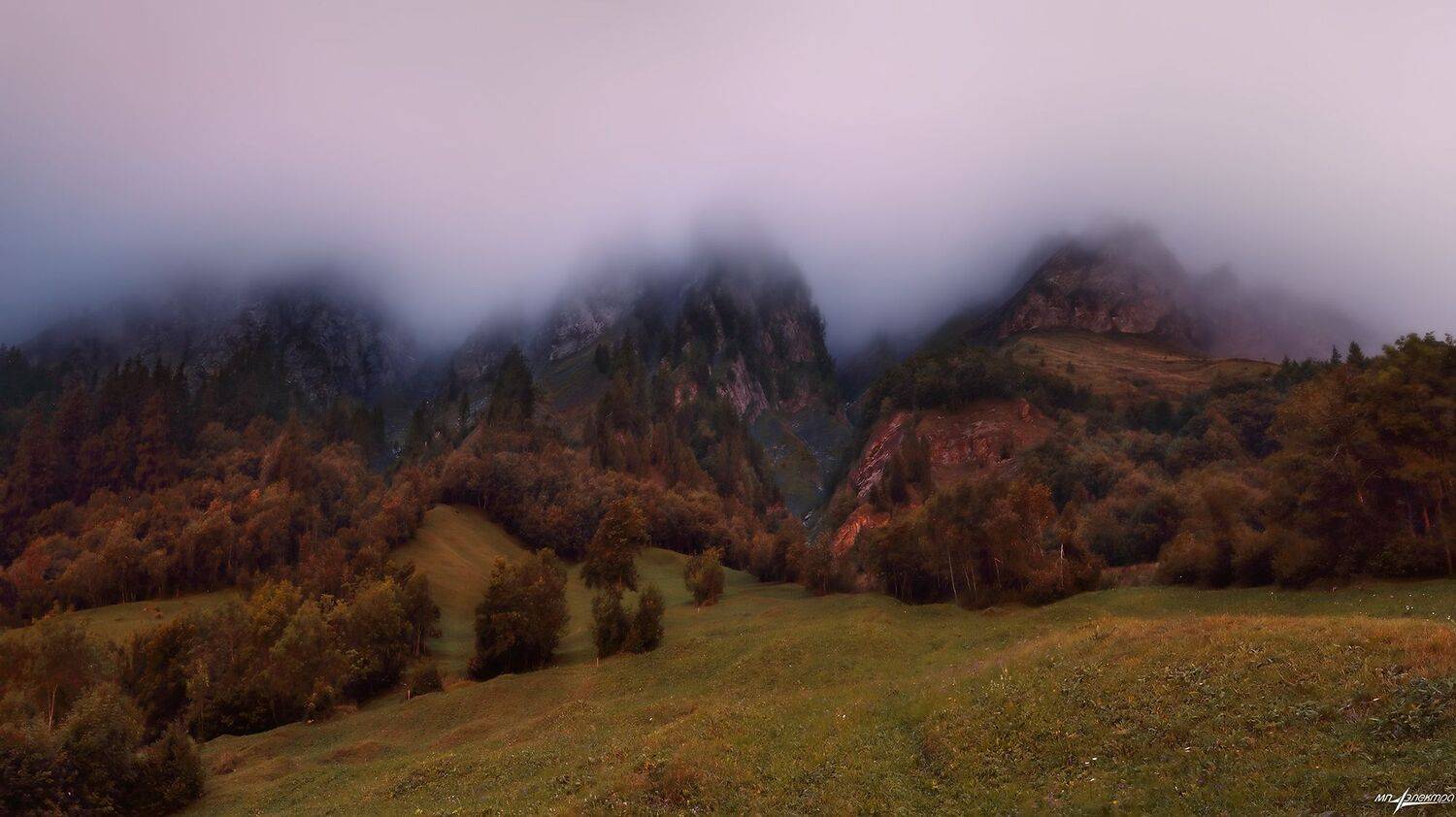 swiss, Матвеев Николай