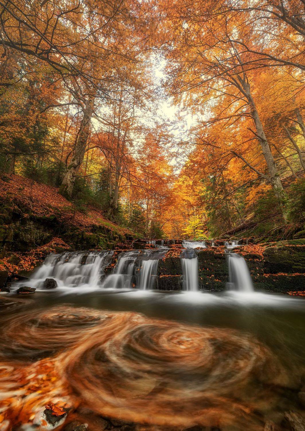 , Костадин Маджаров