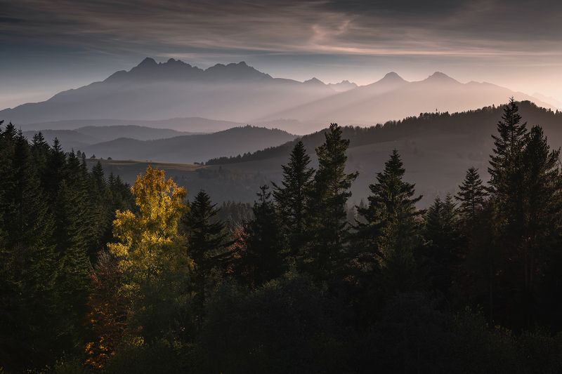 mountains, autumn, poland, slovakia, sunset Tatra Mountains фото превью