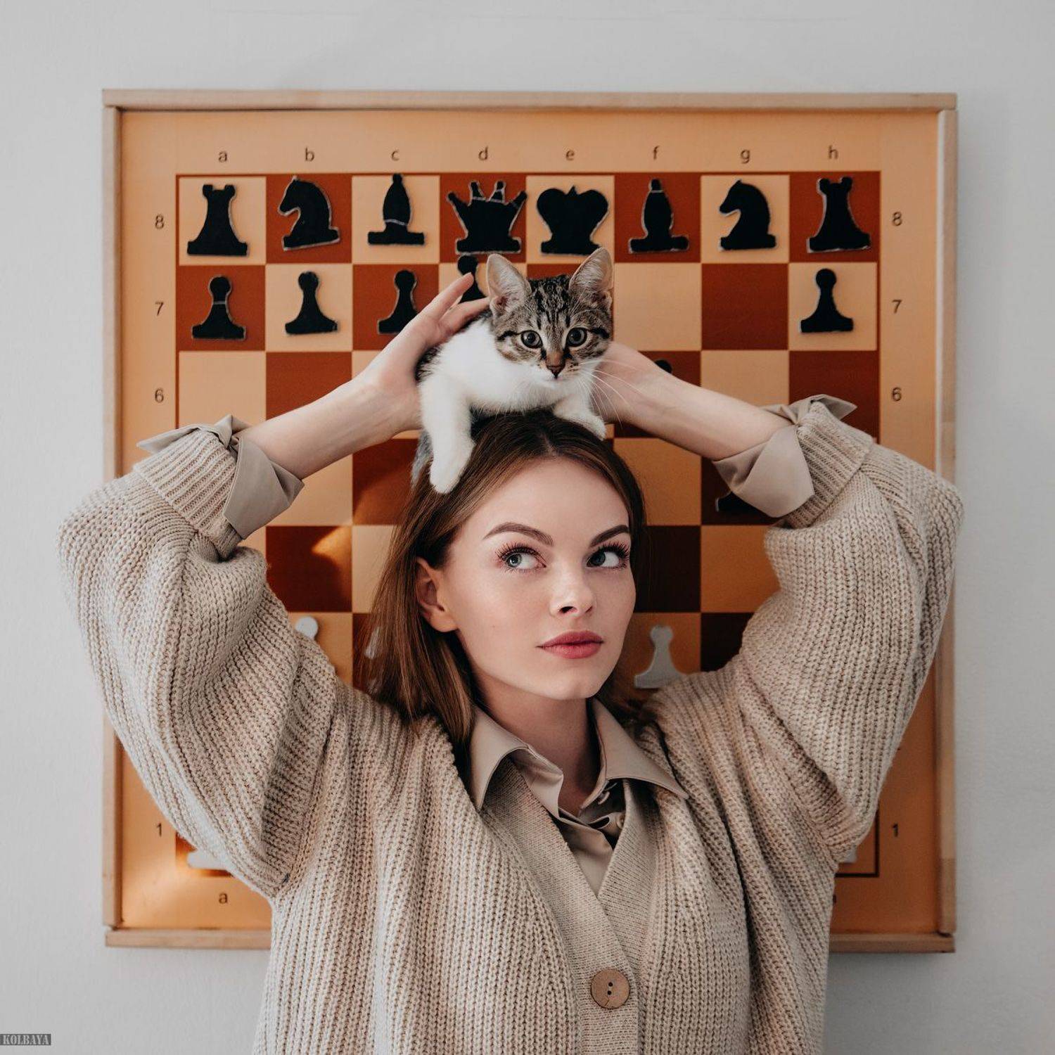 кошка, портрет, Колбая Александр