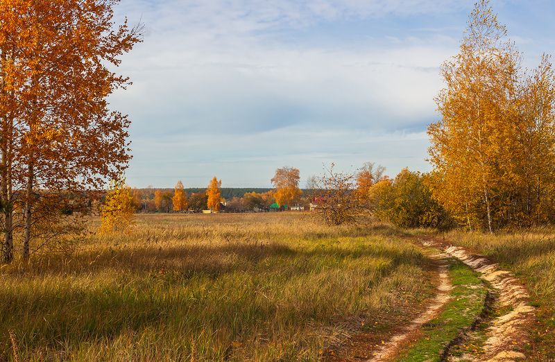 осень, октябрь  фото превью