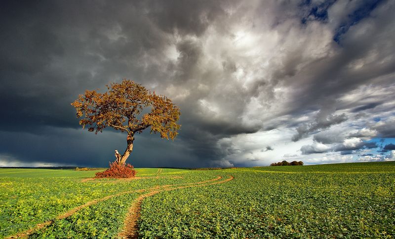Before storm фото превью