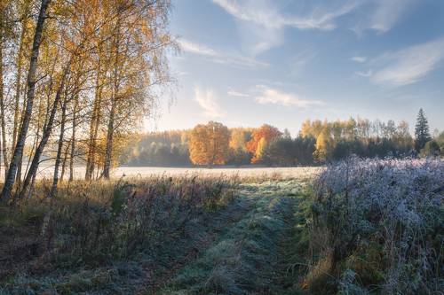осеннее утро