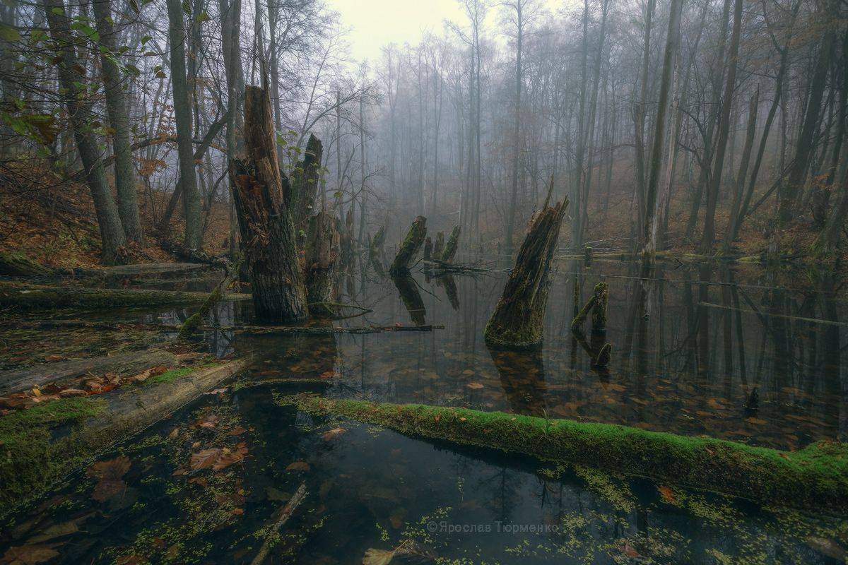 , Ярослав Тюрменко (Jaremi)