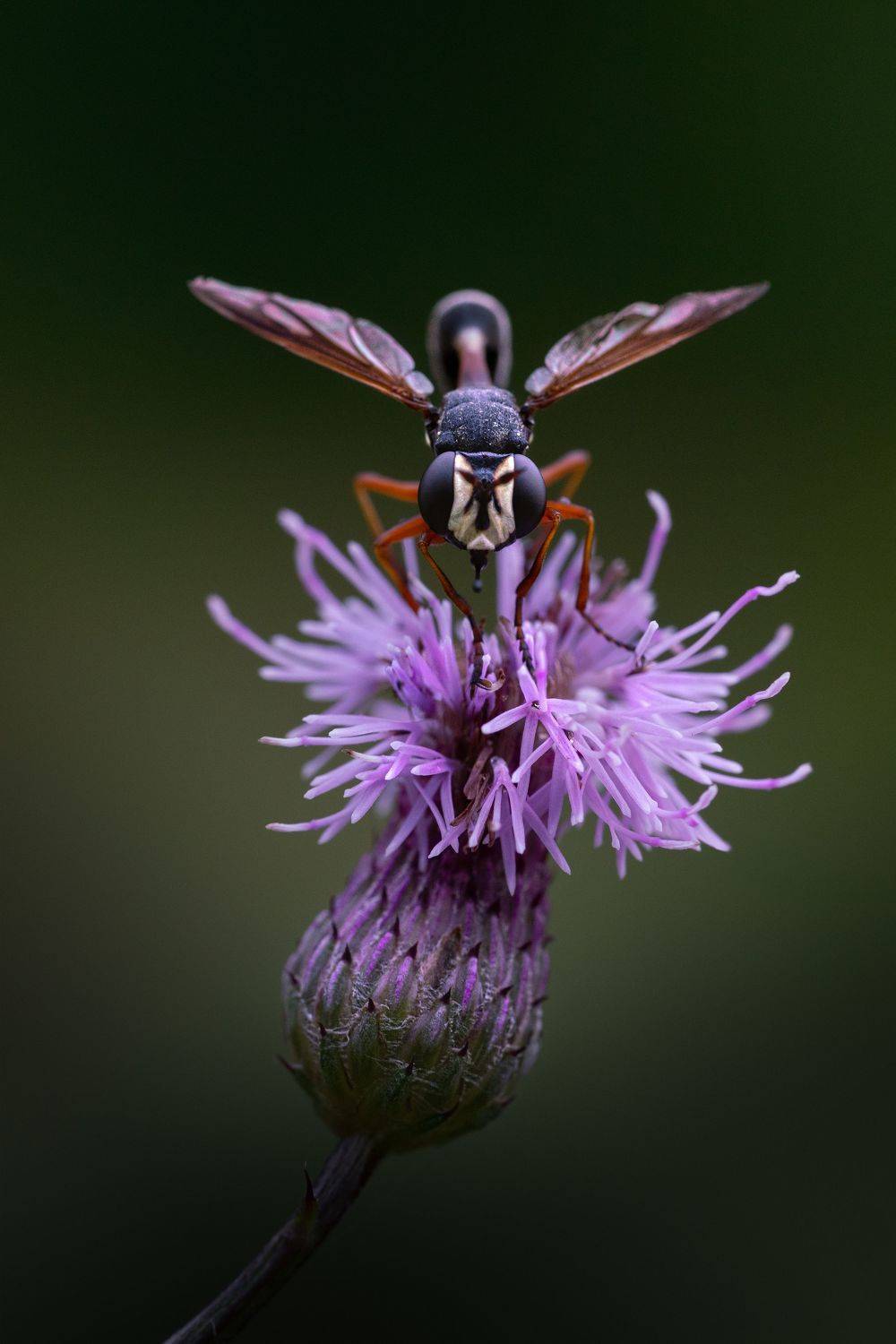 , Татьяна Гореславец