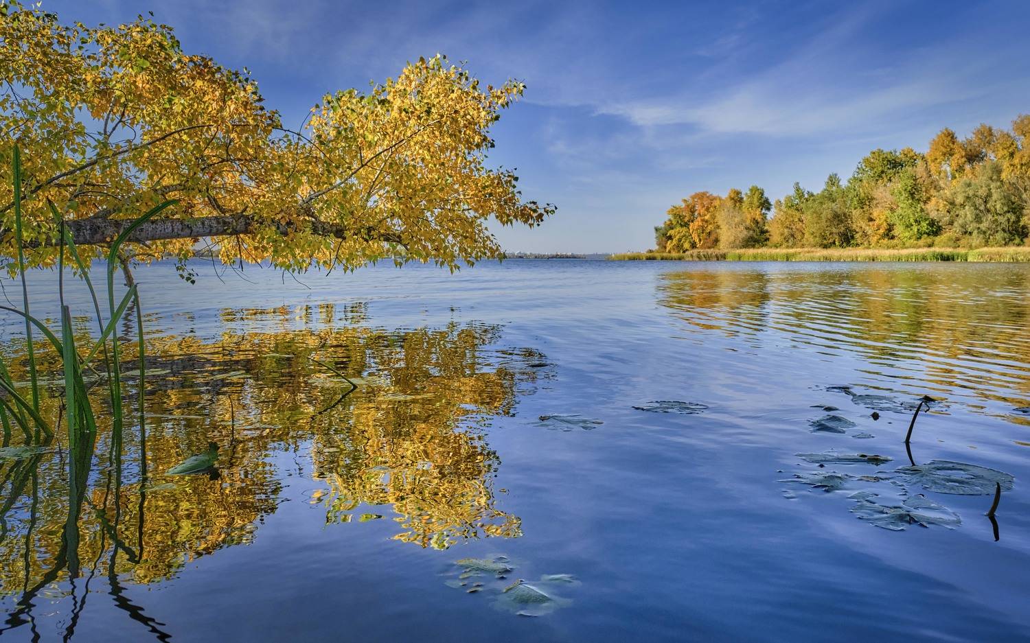 река, золотая листва, осень, небо, облака, красочное, Александр