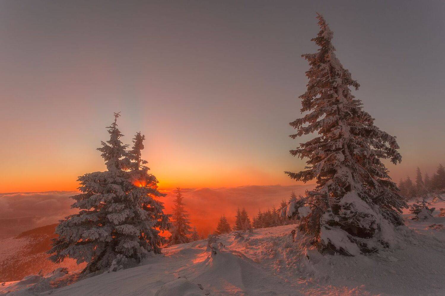 landscape,winter,mountains,canon, Iza i Darek Mitręga