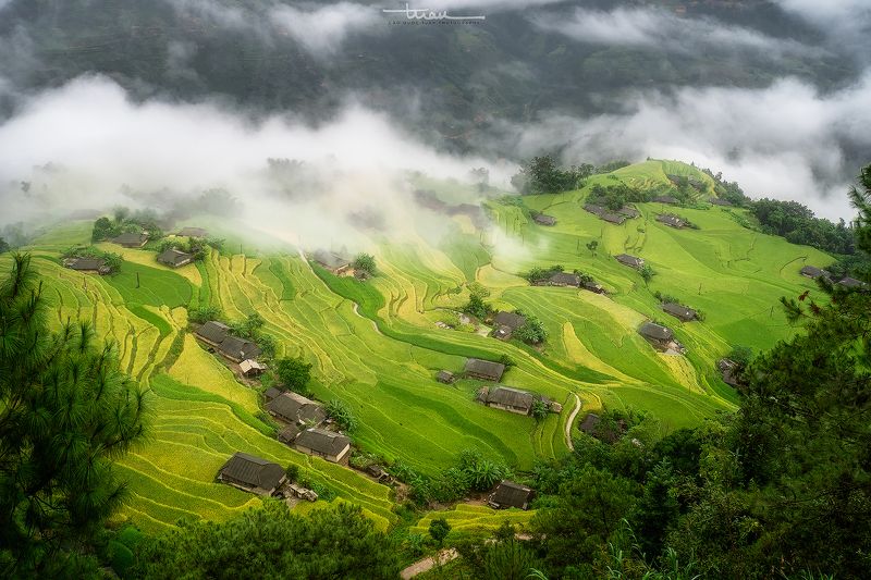 Ban Phung 04 фото превью