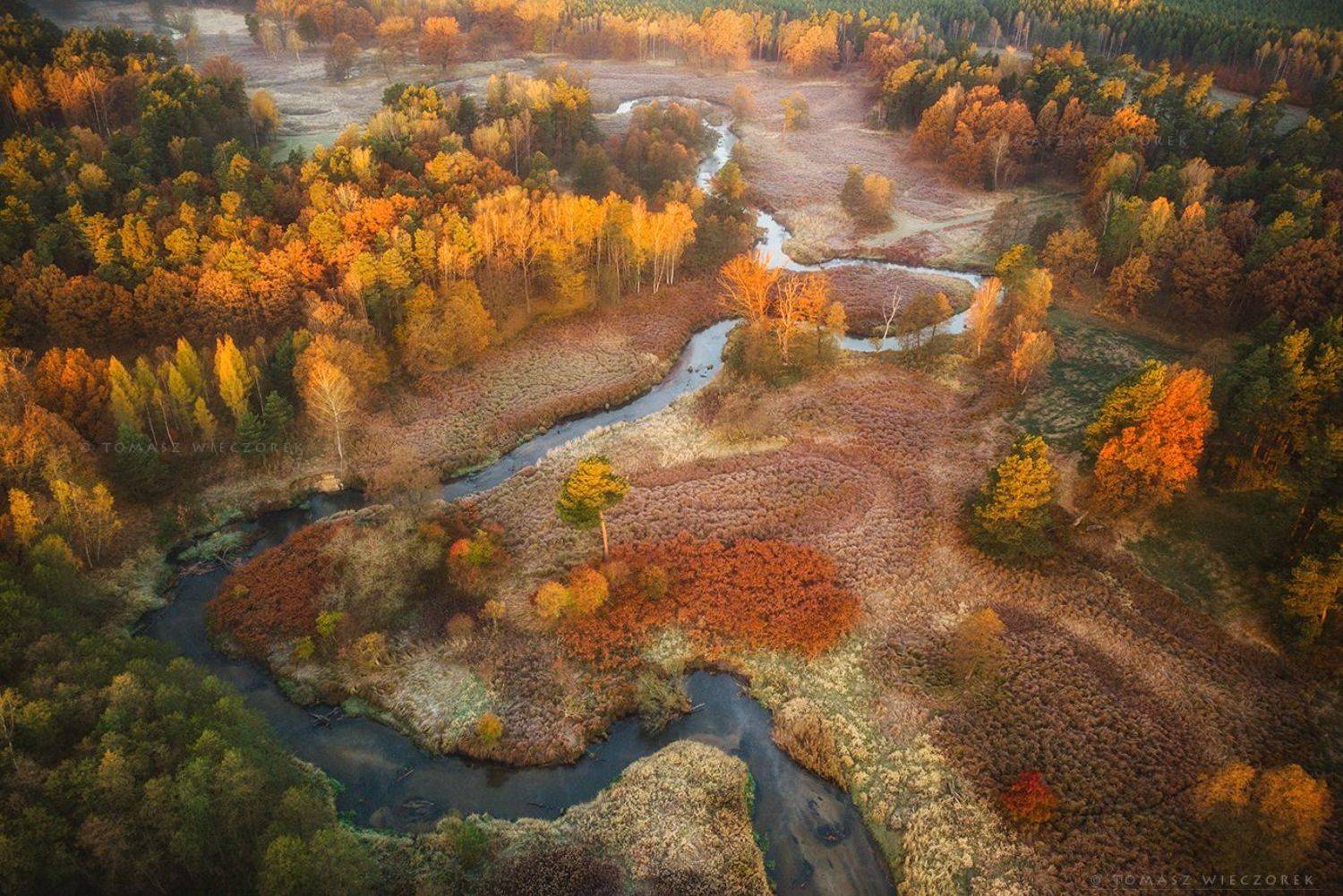 landscape, poland, light, autumn, awesome, amazing, sunrise, sunset, lovely, nature, travel, drone, trees, orange, shadows, dji, river, colors, Tomasz Wieczorek