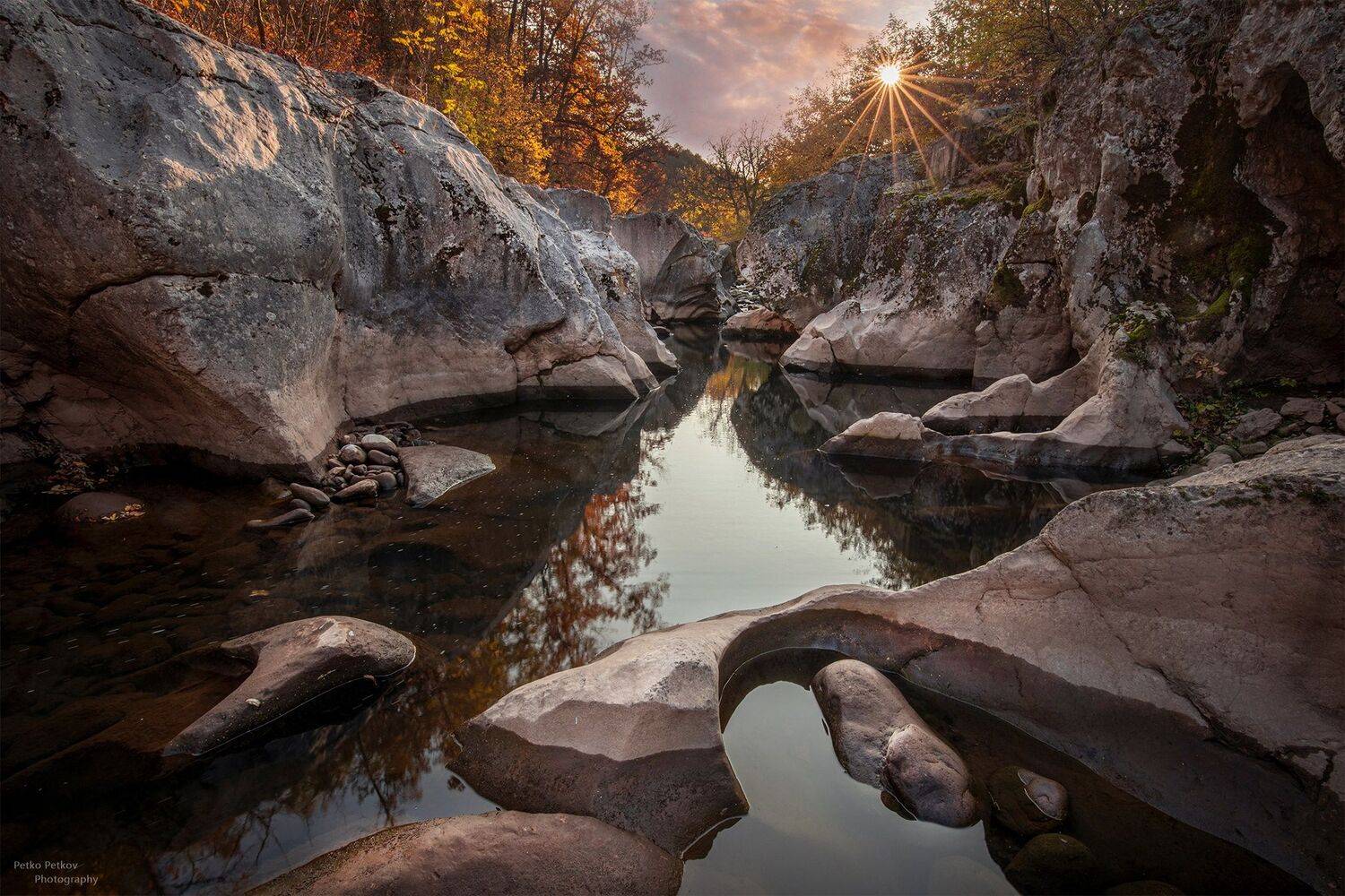 , Петко Петков