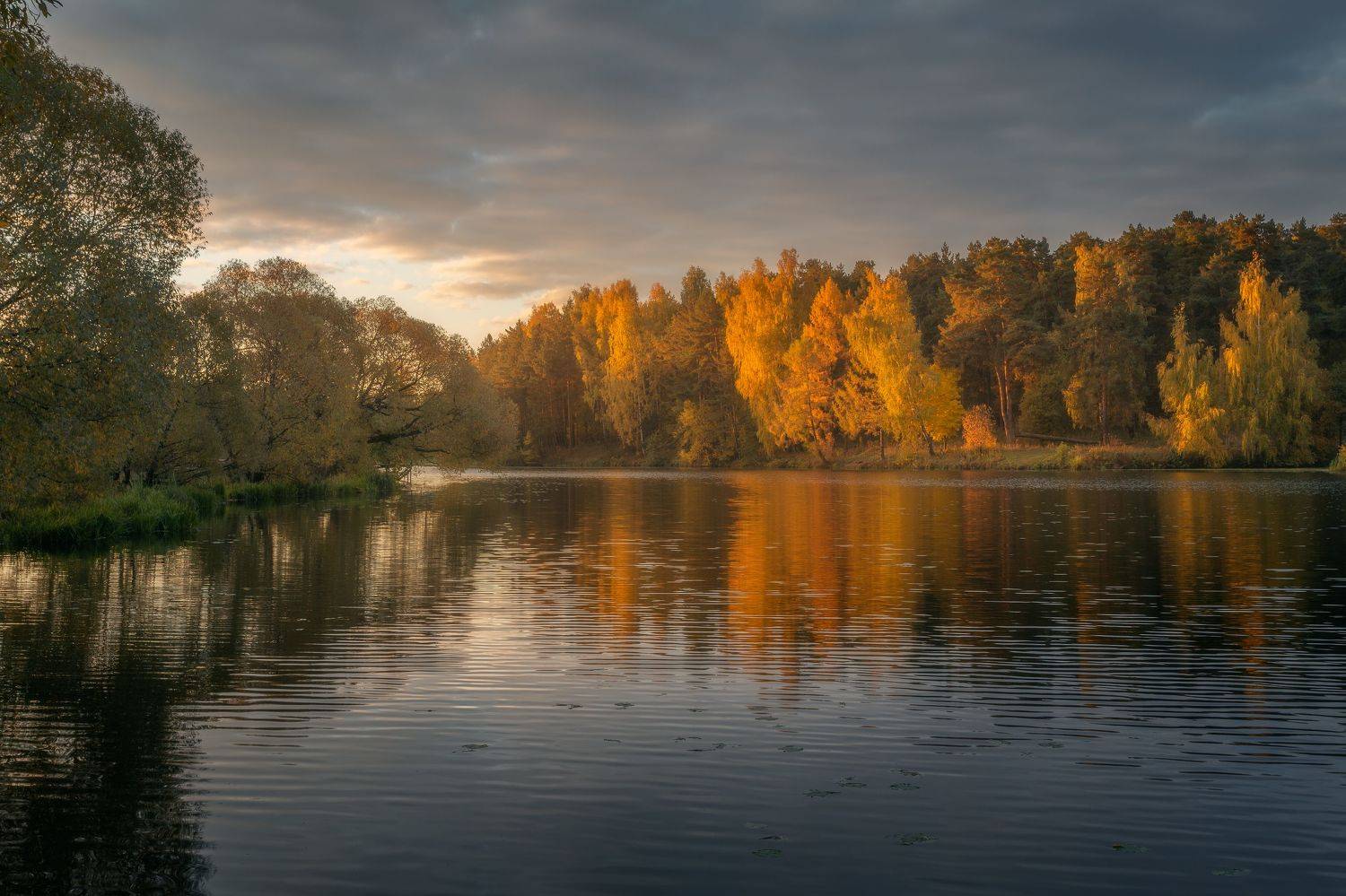 рассвет, осень, природа, Московская область, пейзаж, Мартыненко Дмитрий