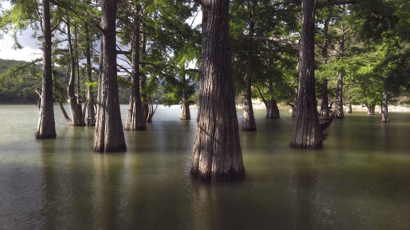 #сукко Кипарисовое озеро фото превью