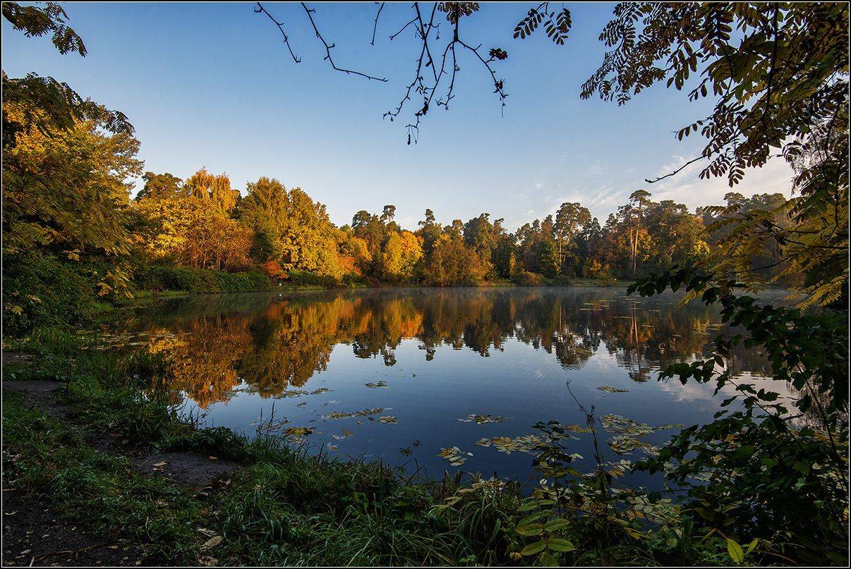 москва, осень, озеро, лес, отражение, АНАТОЛИЙ ДОВЫДЕНКО