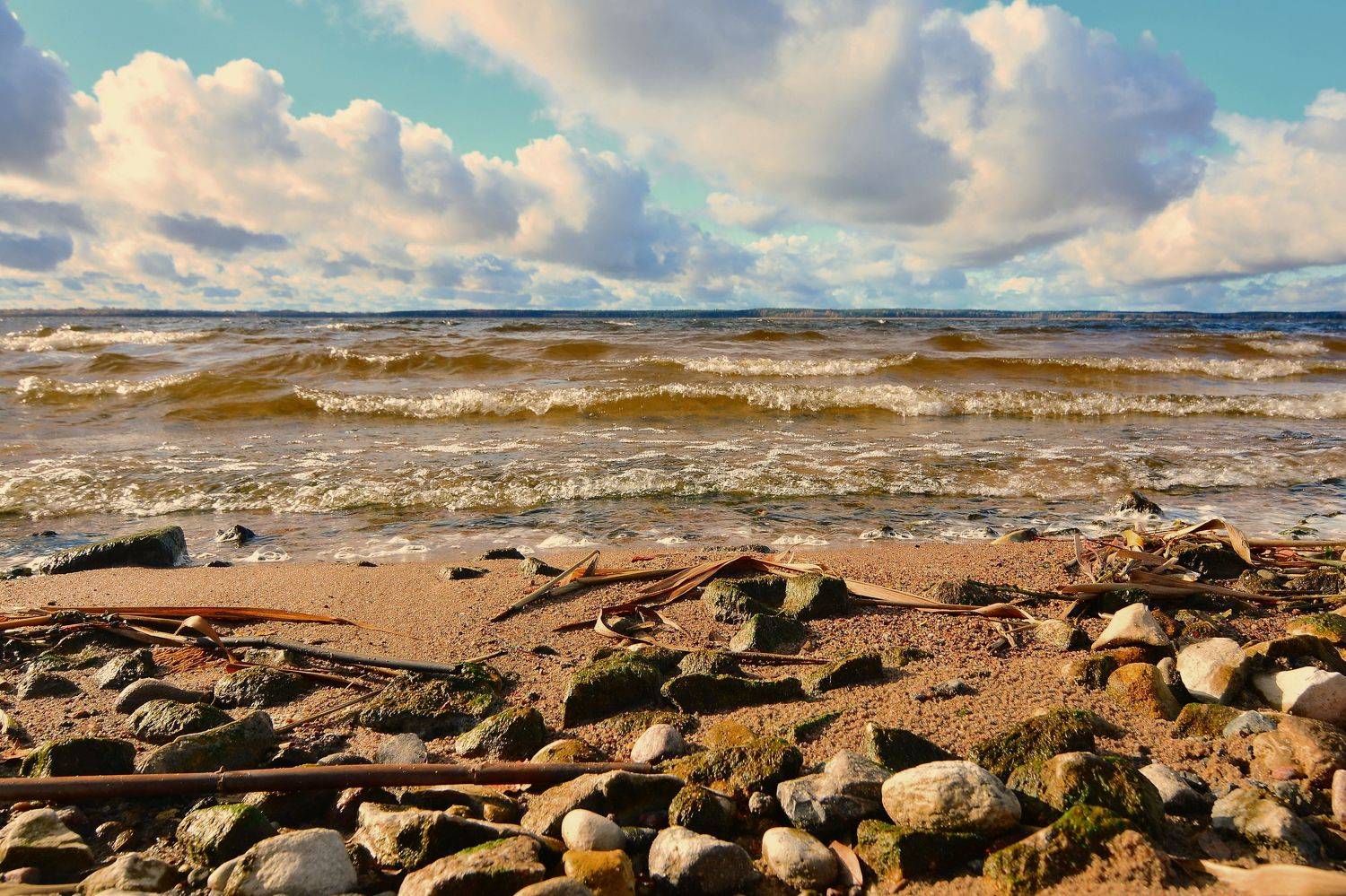 Осень, Борис Риганов
